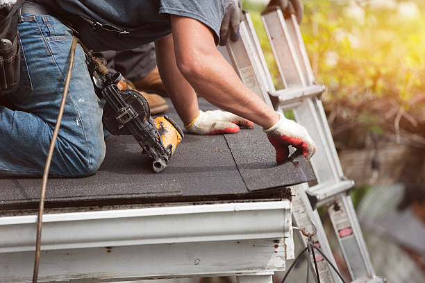 Best Roof Gutter Cleaning  in Raubsville, PA