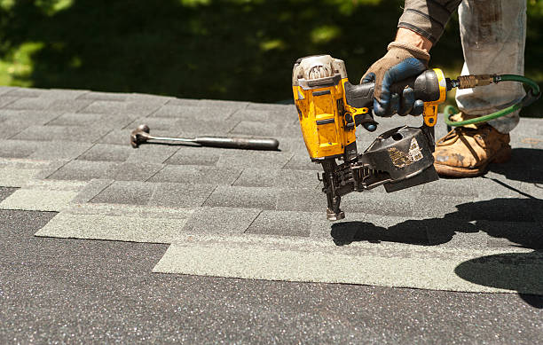 Best Roof Gutter Cleaning  in Raubsville, PA